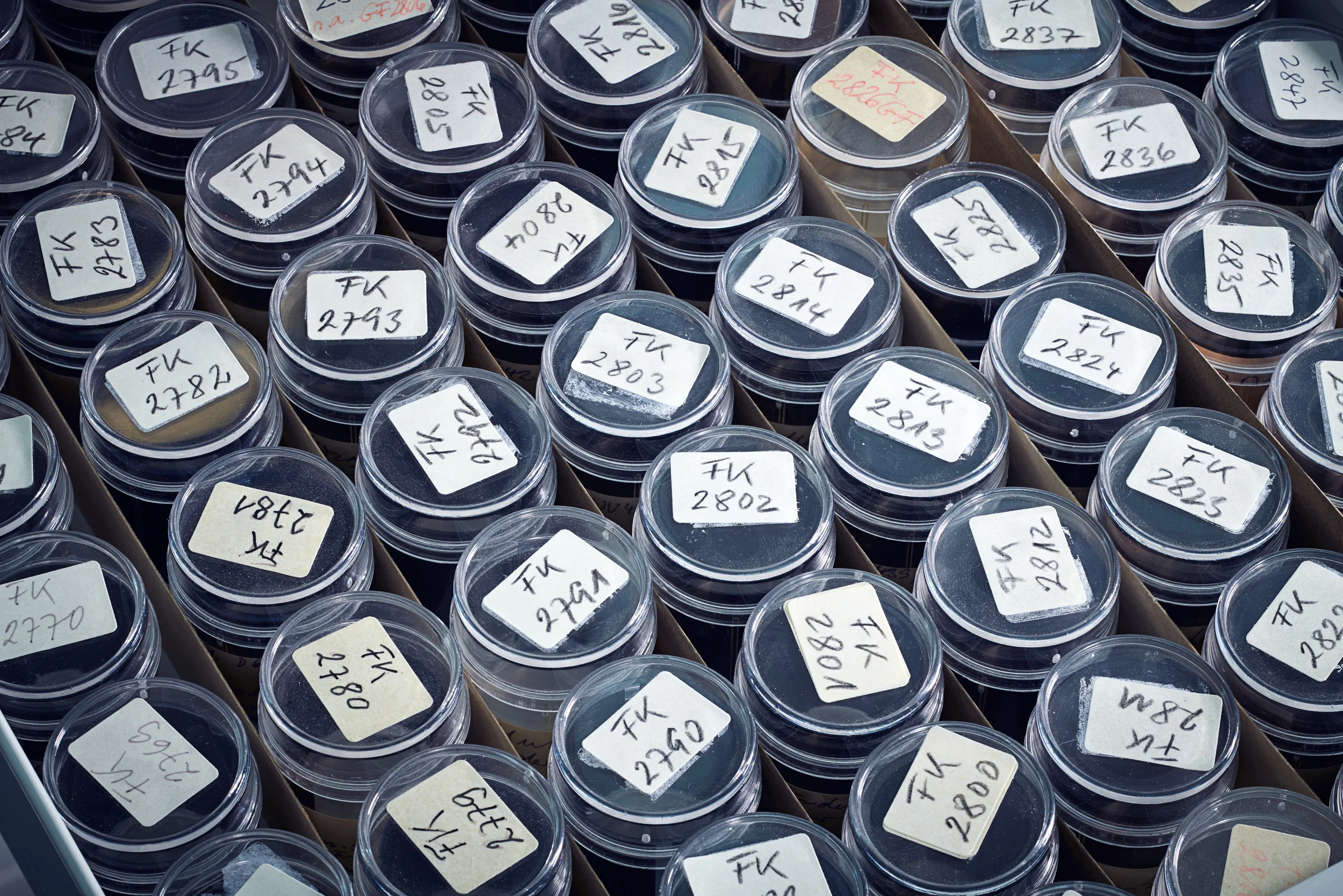 75 Jahre Henle Verlag 24 by Robert Brembeck