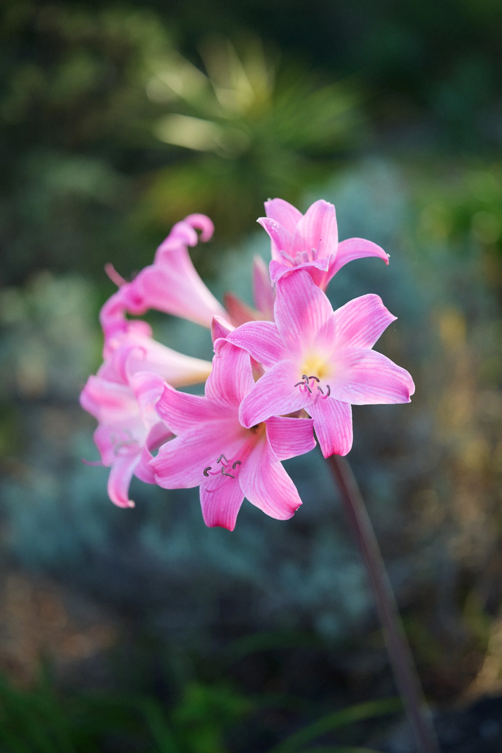 Martí Mascaró x SZ Magazin 14 by Robert Brembeck