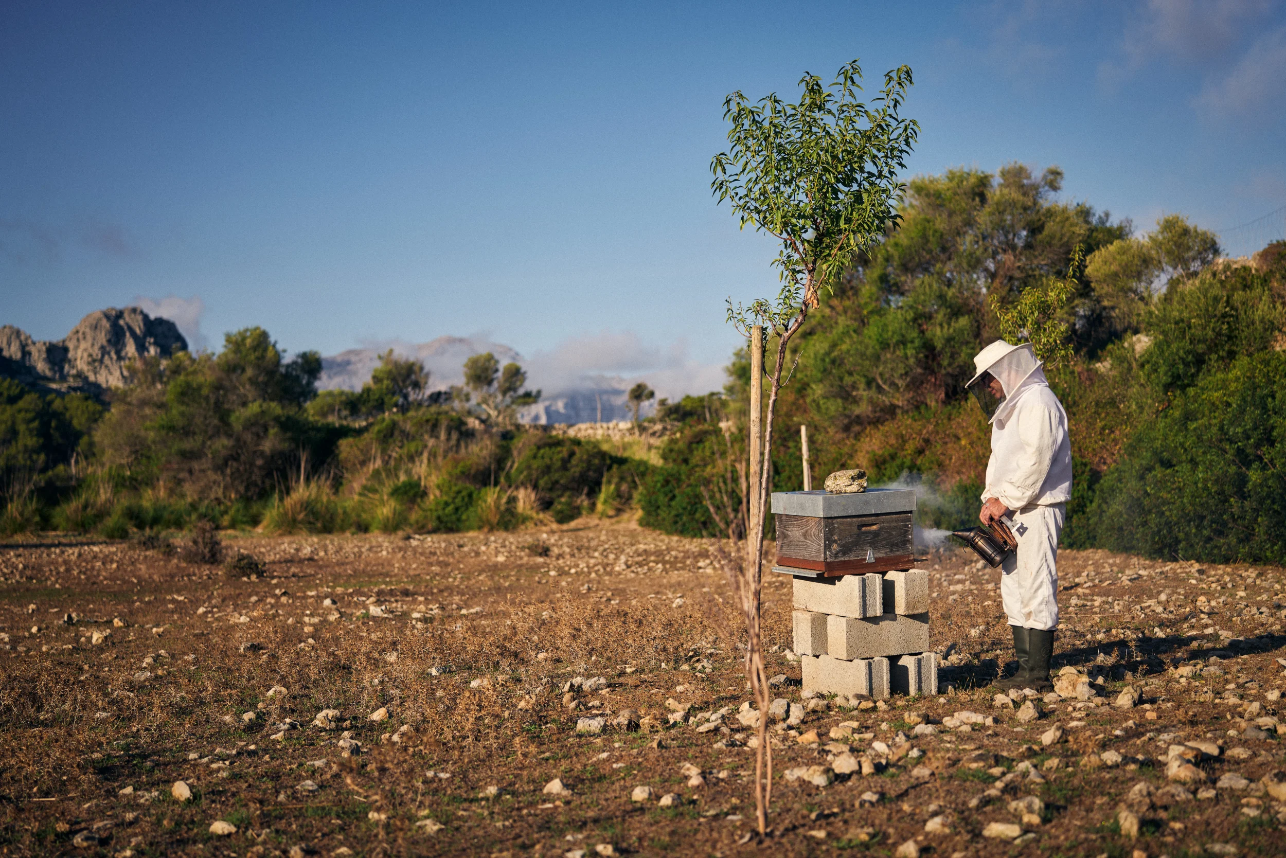 Martí Mascaró x SZ Magazin 17 by Robert Brembeck
