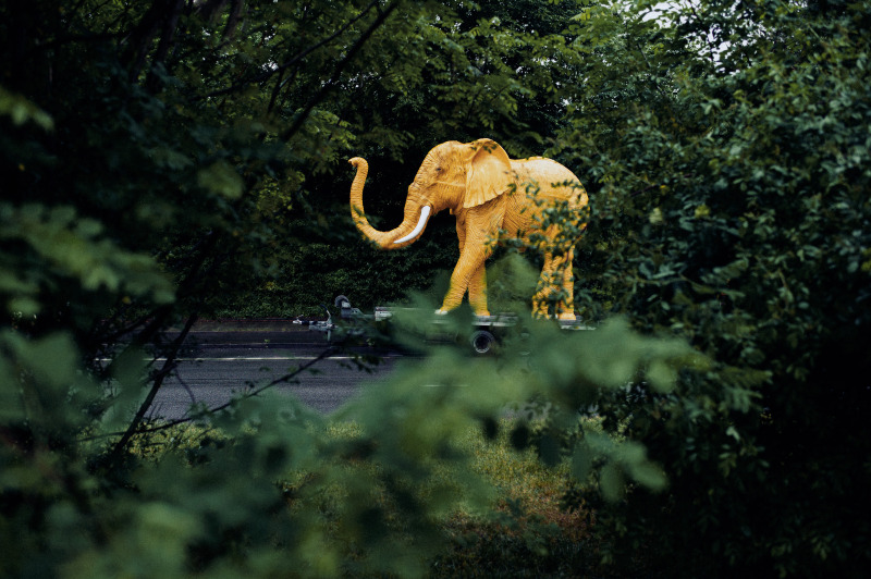A New Bavarian Picture 13 by Robert Brembeck