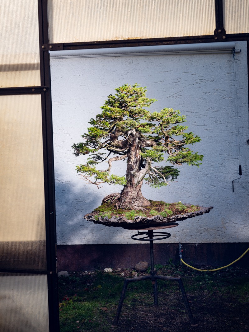 Edelholz x SZ Magazin 1 by Robert Brembeck